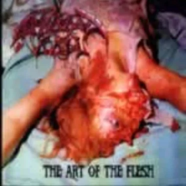 The Art of the Flesh by Bloodboil - album cover