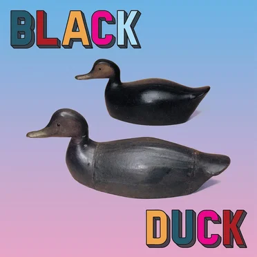 Black Duck by Black Duck - album cover