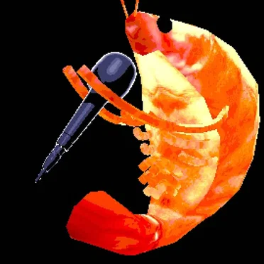 shrimp song