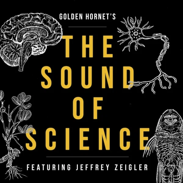 The Sound of Science