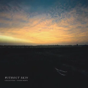 Collecting / Inner Debts by Without Skin - album cover