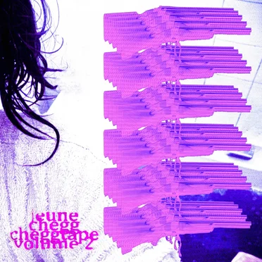 Cheggtape volume 2