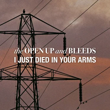 I Just Died In Your Arms by The Open Up and Bleeds - album cover