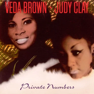 Private Numbers by Veda Brown - album cover