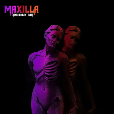 Anatomy: She by REMIXILLA - album cover