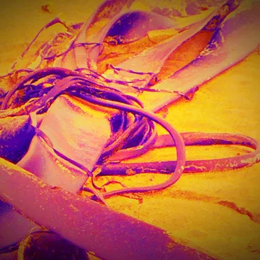 Neon Fruit