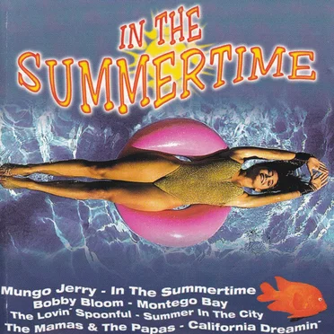 In the Summertime by Various Artists - album cover