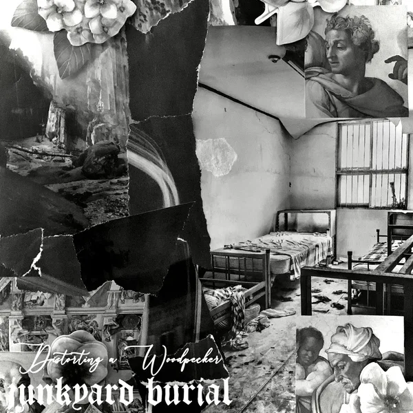 Distorting a Woodpecker / junkyard burial