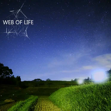 Web of Life by Man of No Ego - album cover