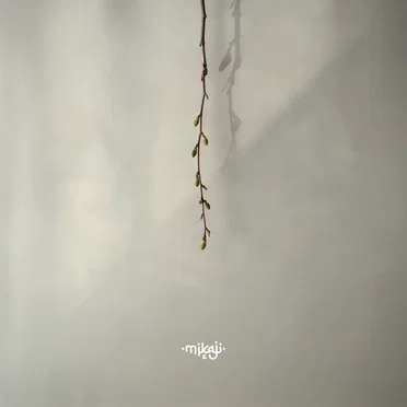 Vrbice (Mikaji Remix)
