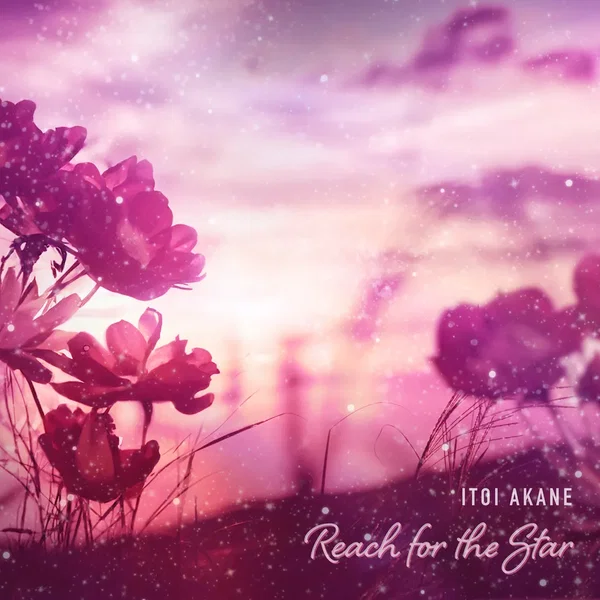Reach for the Star