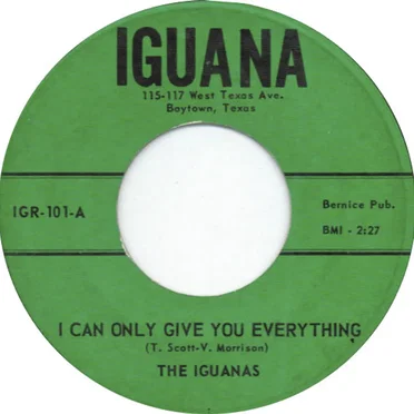 The Iguanas