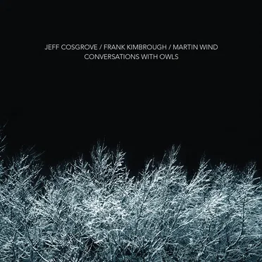 Conversations With Owls