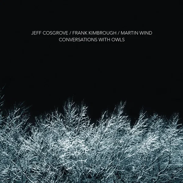 Conversations With Owls