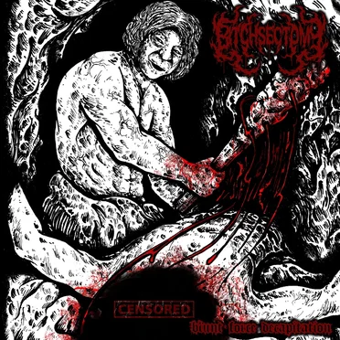 Blunt Force Decapitation by Bitchsectomy - album cover