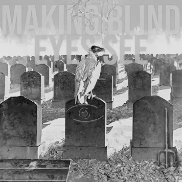 From Rebirth to Certainty by Making Blind Eyes See - album cover