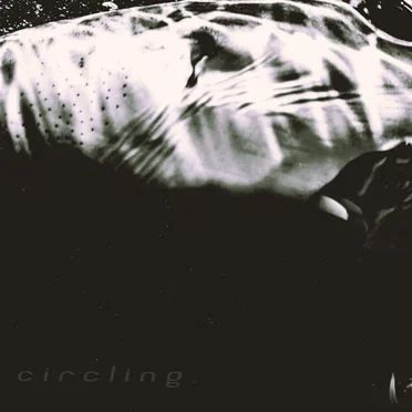 Circling