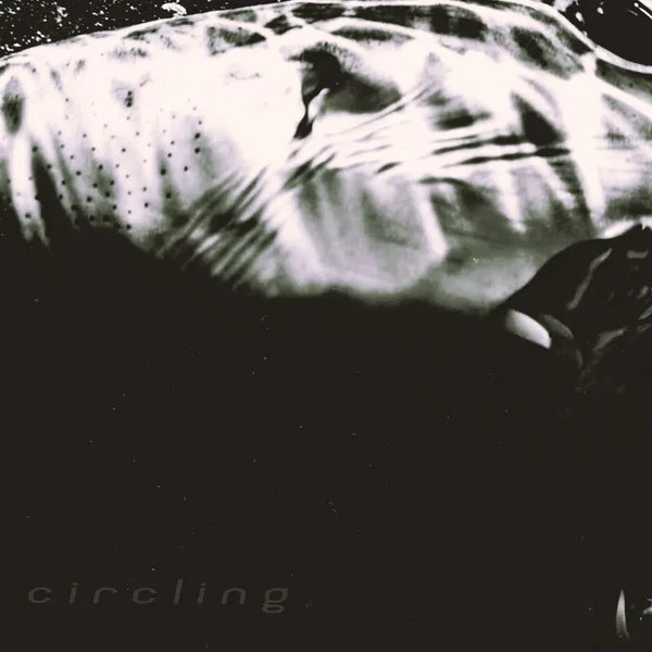 Circling