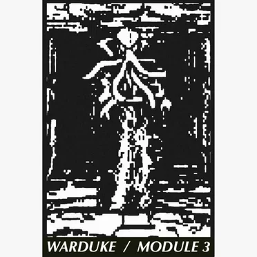 MODULE 3