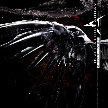 Arctiinae by Invocation Array - album cover