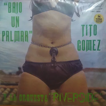 Bajo un palmar
