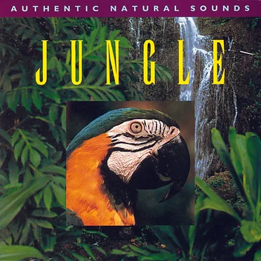 Relax With Nature, Volume 16: Jungle by [nature sounds] - album cover