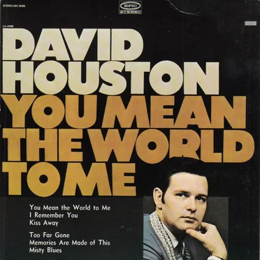 You Mean The World To Me