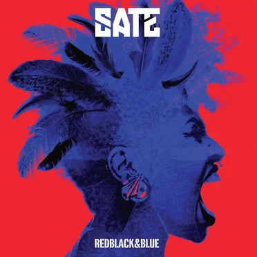 RedBlack&Blue by Sate - album cover