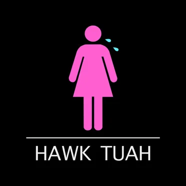 Hawk Tuah