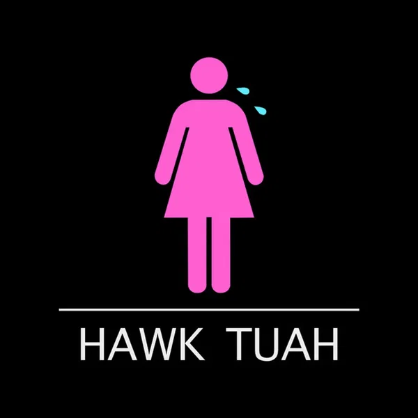 Hawk Tuah