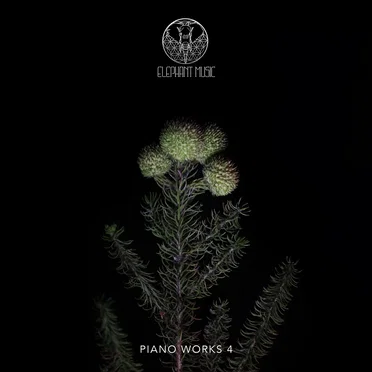 Piano Works 4