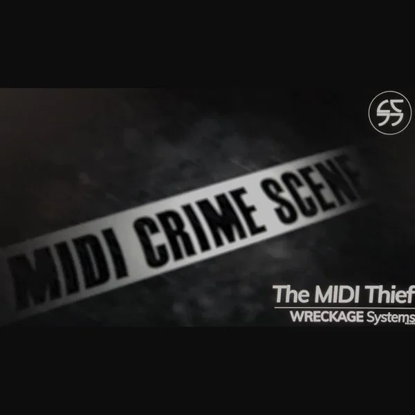 The Midi Thief