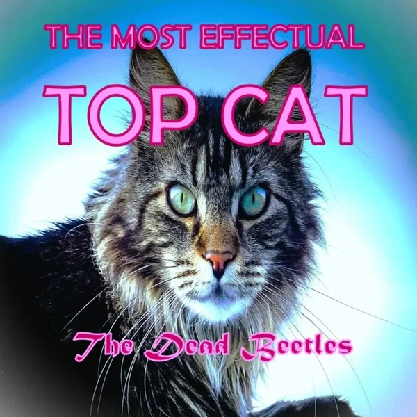 The Most Effectual Top Cat