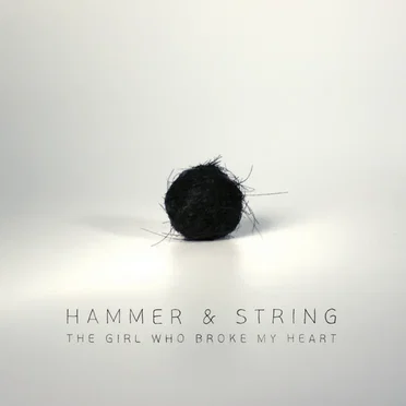 The Girl Who Broke My Heart by Hammer & String - album cover