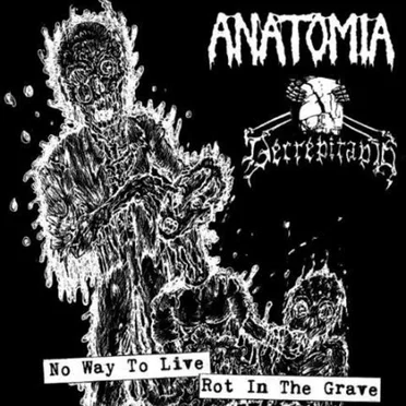 No Way To Live / Rot In The Grave