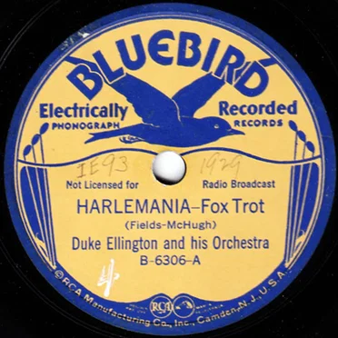 Harlemania / Stevedore Stomp