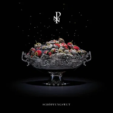 Schöpfungswut by Porta Nigra - album cover