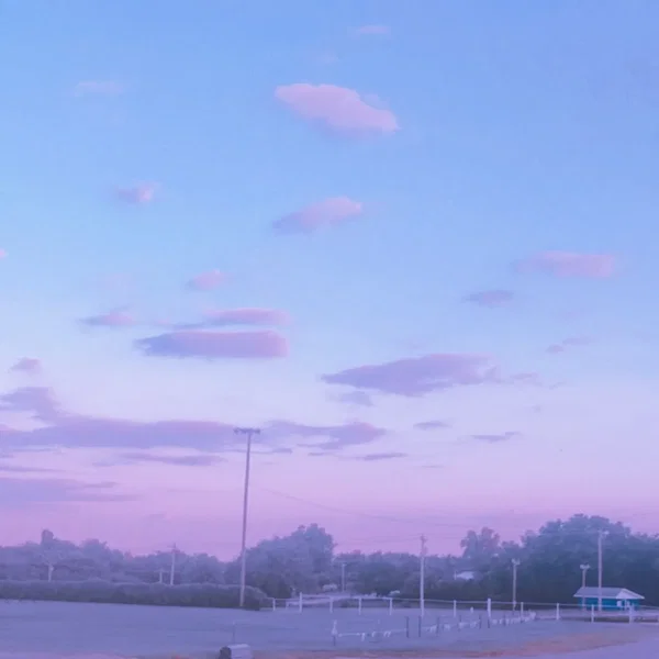 TRYPAMINE DREAMZZZ Pt.2
