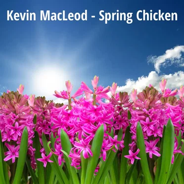 Spring Chicken