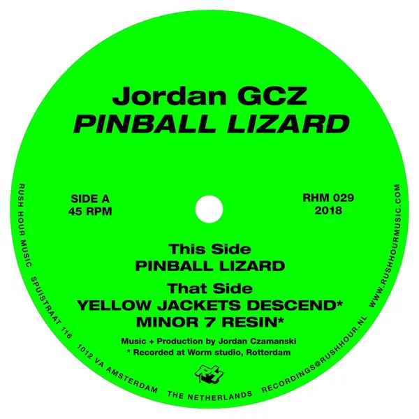 Pinball Lizard