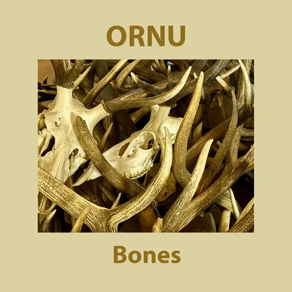 Bones