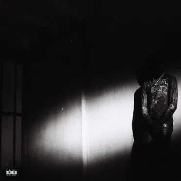 NO STYLIST by Destroy Lonely - album cover