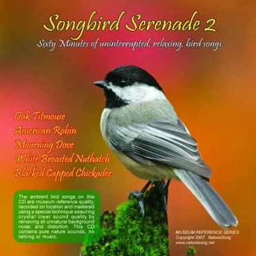 Songbird Serenade 2 by [nature sounds] - album cover