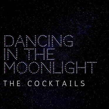 Dancing in the Moonlight by The Cocktails - album cover