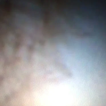 Music #5