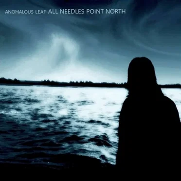 All Needles Point North