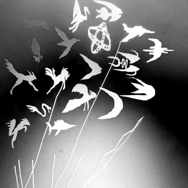set_me_free_of / floor