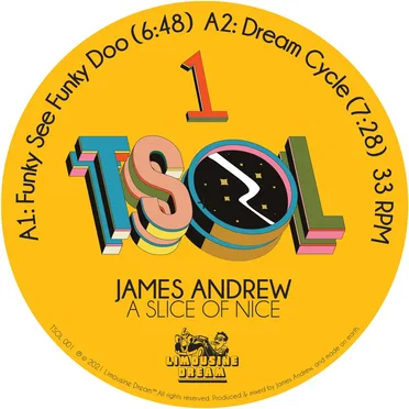 A Slice of Nice by James Andrew - album cover