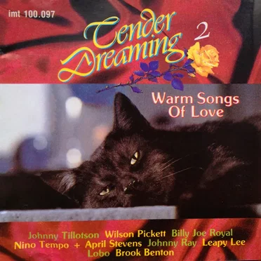 Tender Dreaming II: Warm Songs of Love by Various Artists - album cover