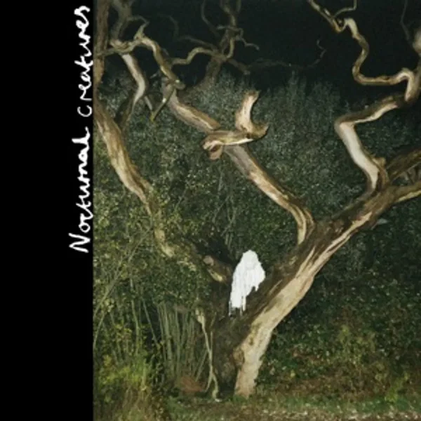 Nocturnal Creatures